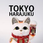 Find My JAPAN